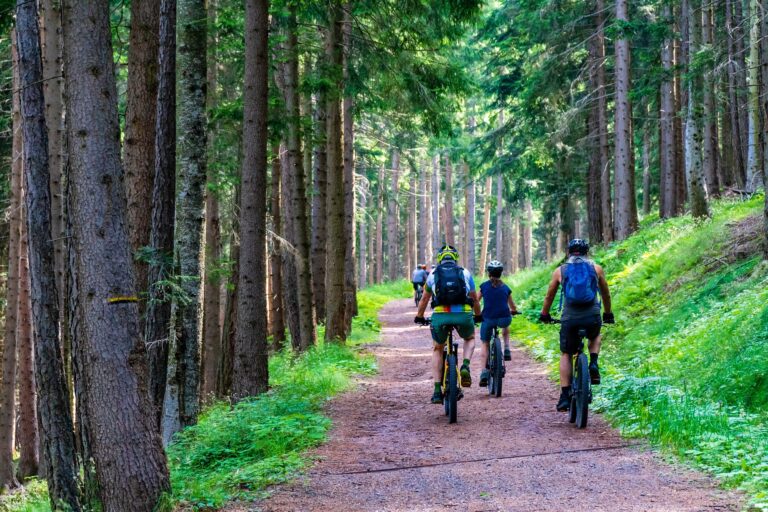 E-Biker im Wald. Saftig grün.